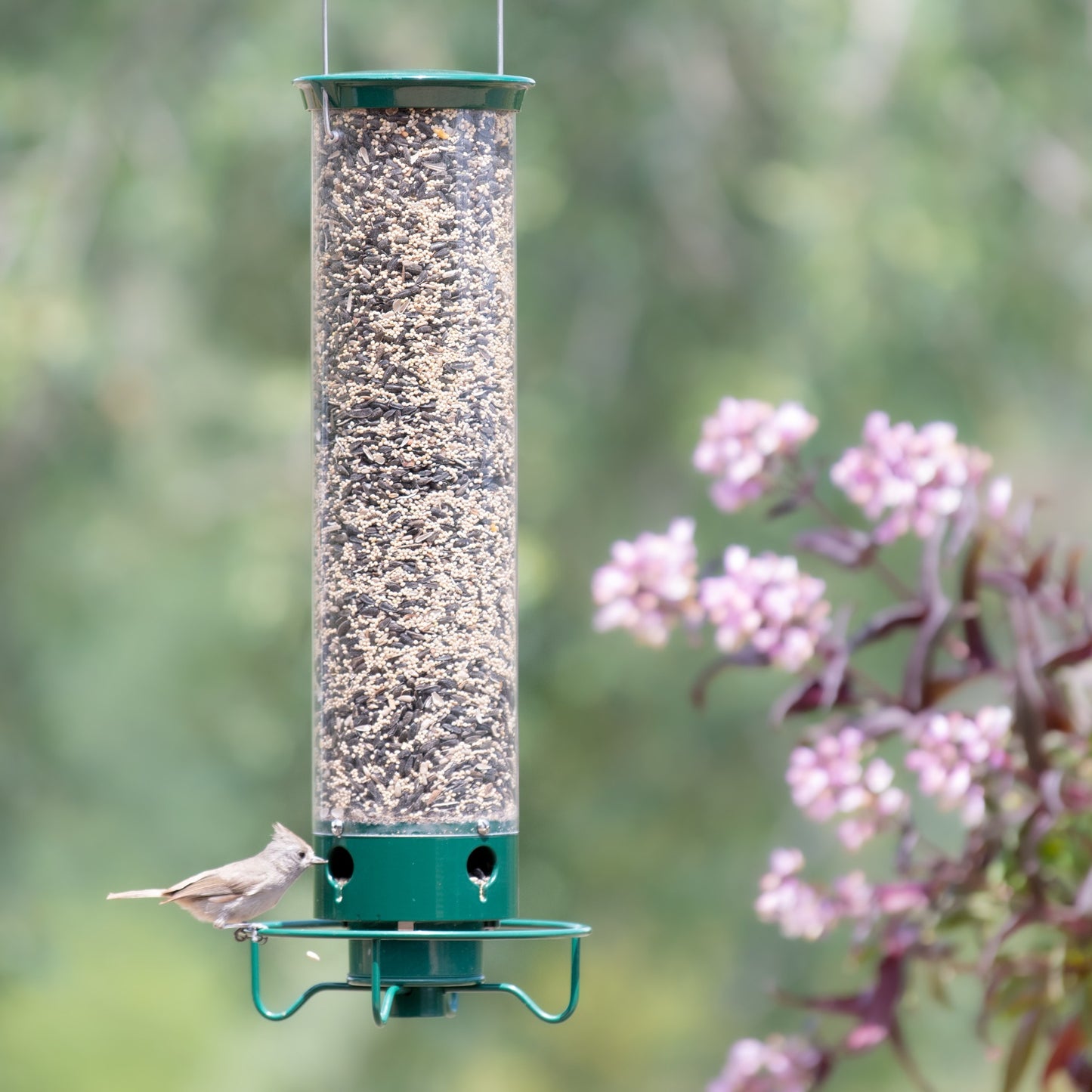 Squirrel-Proof Wild Bird Feeder